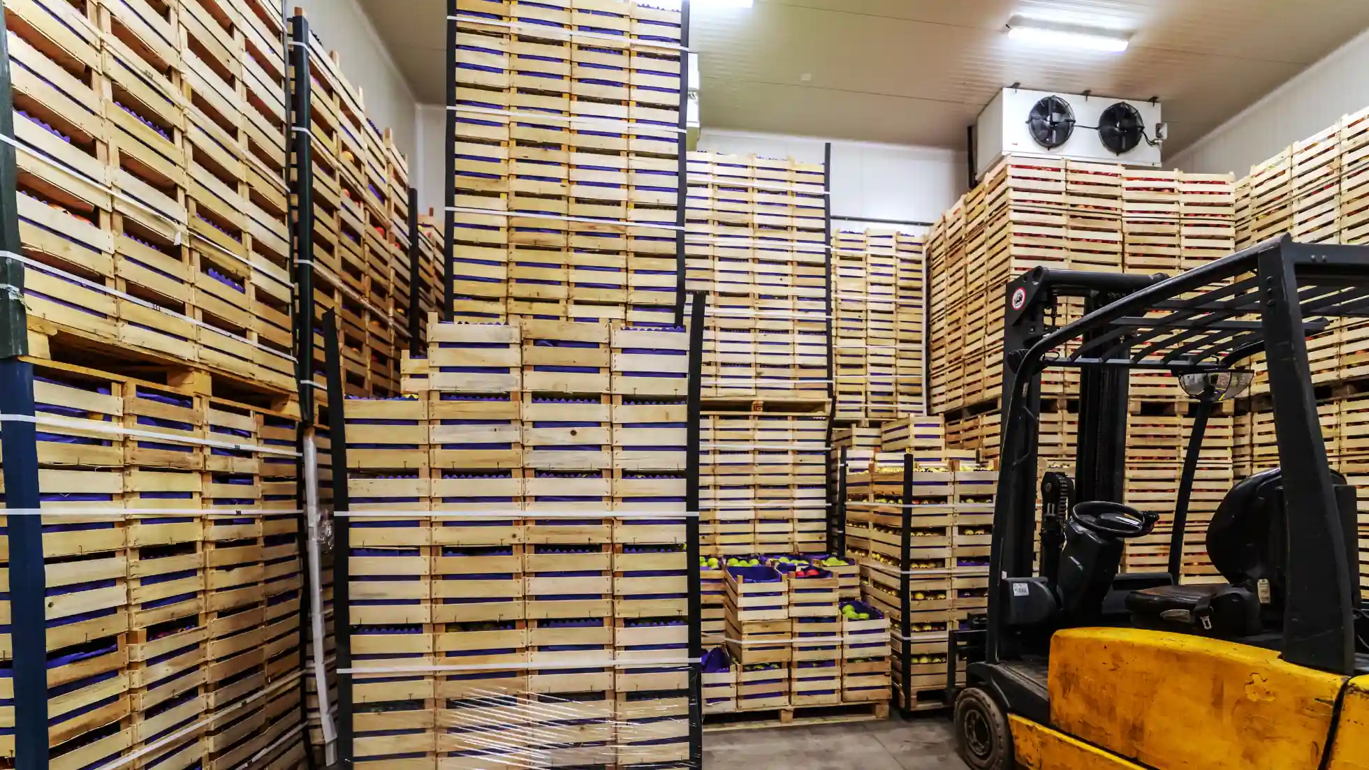 Advantages of Establishing a Cold Storage Business in Dubai - Smart Zones UAE