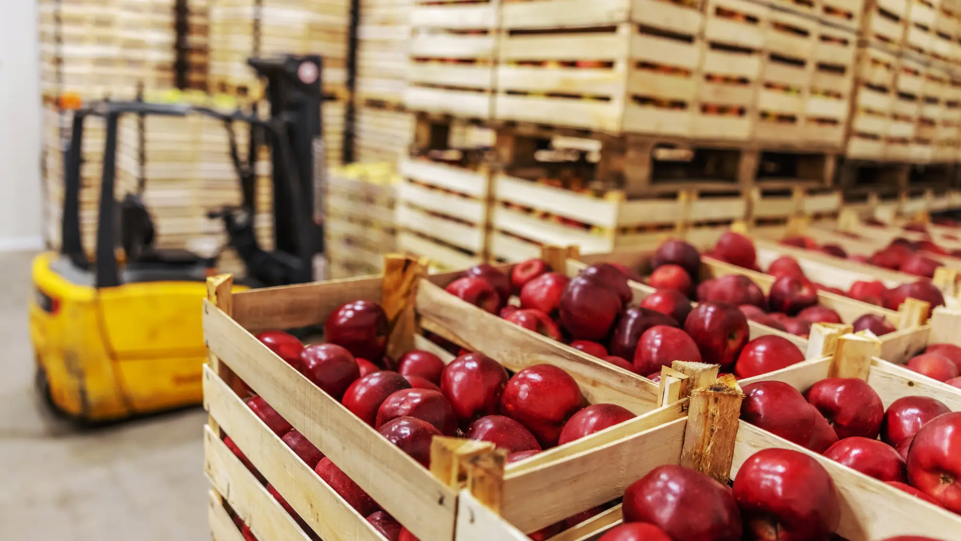 Advantages of Establishing a Foodstuff Trading Business in Dubai - Smart Zones UAE