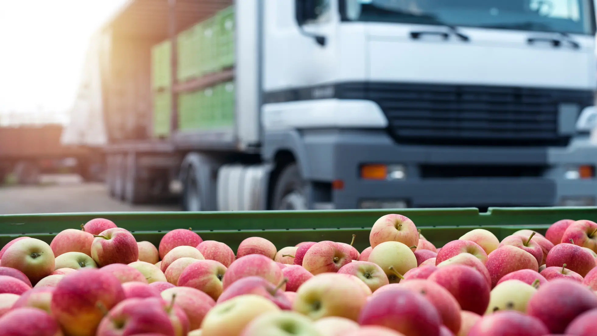 Start your Foodstuff Trading Business in Dubai, UAE - Smart Zones UAE