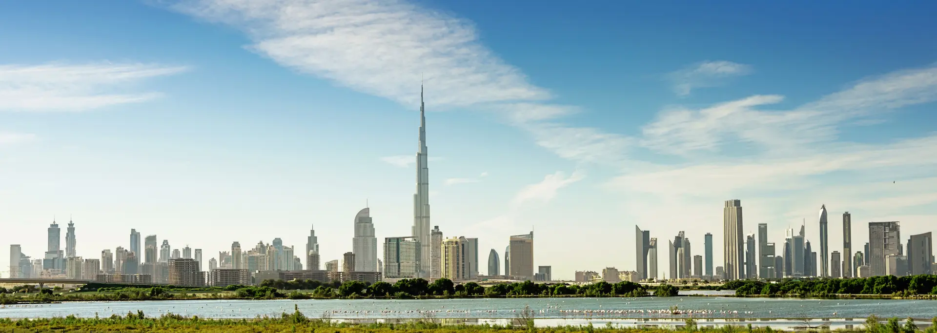 Global Business Hub