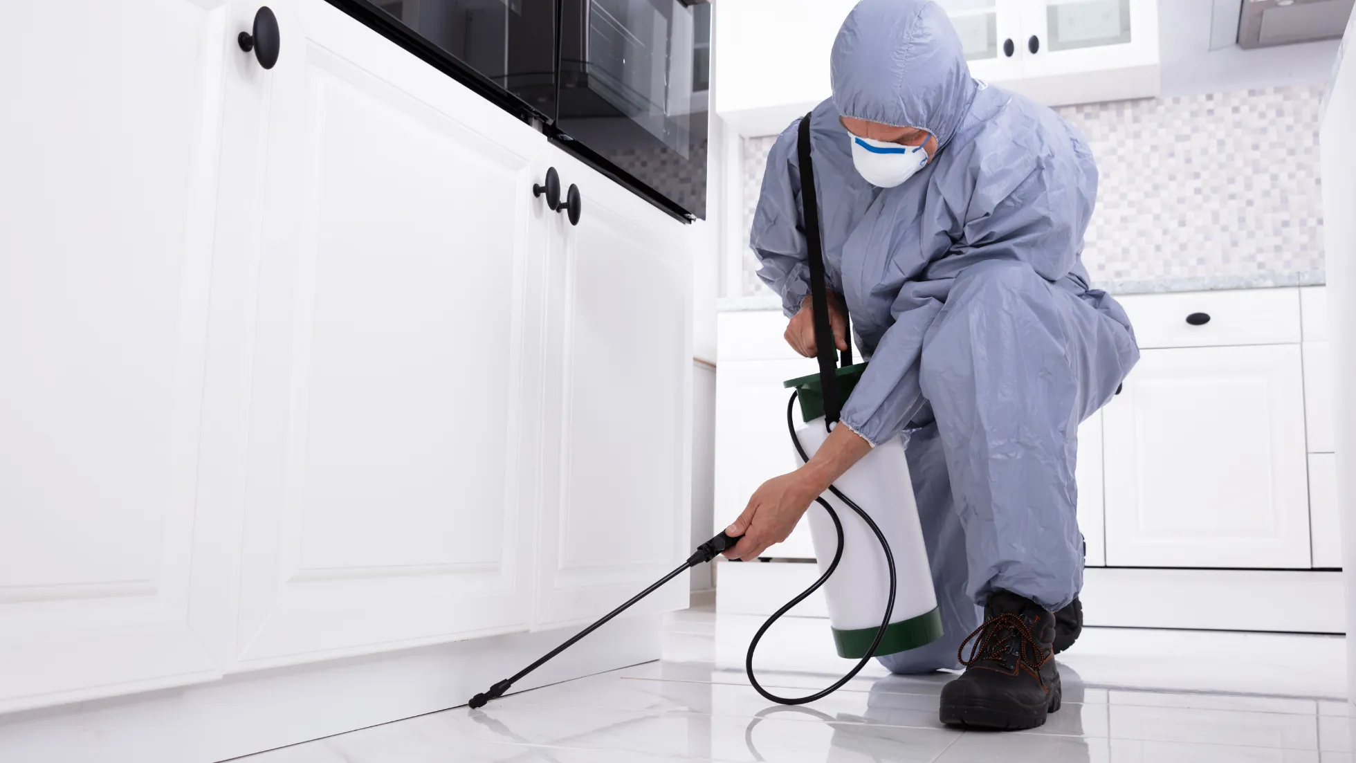 Advantages of Establishing a Pest Control Company in Dubai - Smart Zones UAE