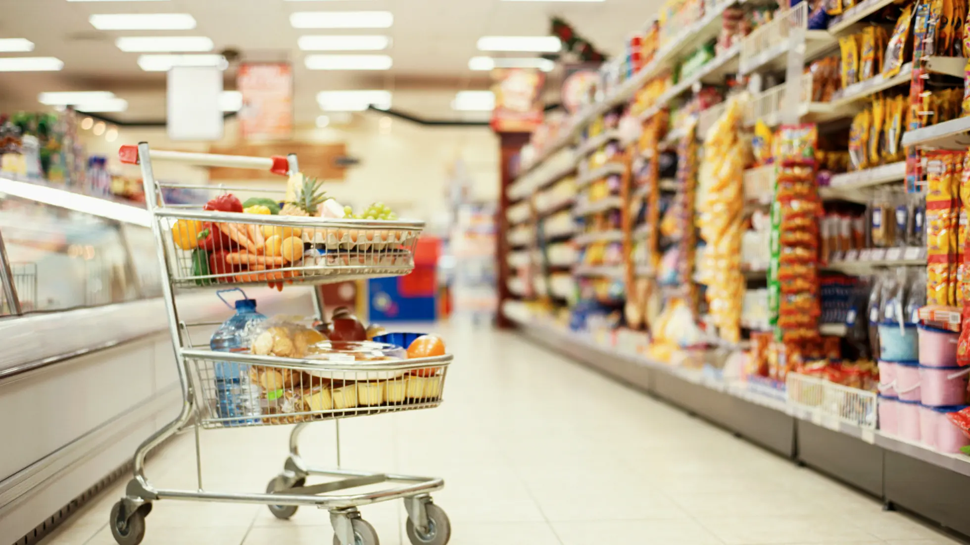 Start your Supermarket Business in Dubai, UAE - Smart Zones UAE